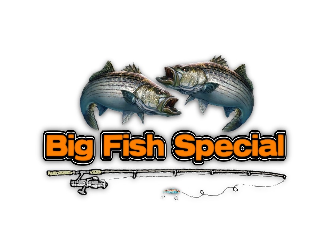 Lake Texoma Fishing Guides Prices Striper Express