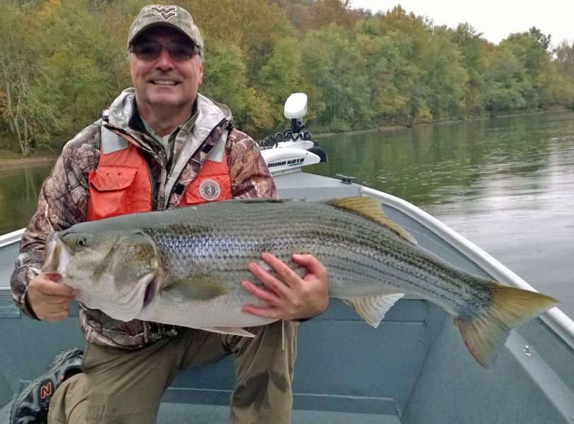 Cumberland River in Tennessee StriperFun Guide Service