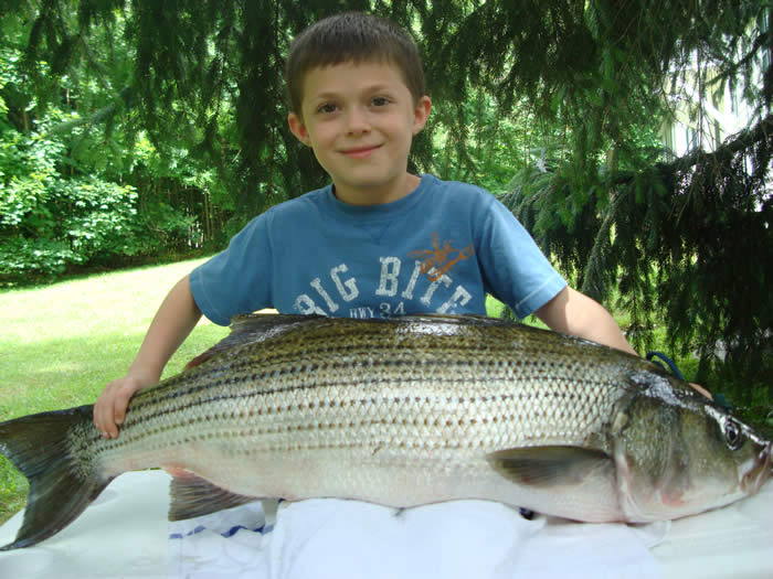 Raystown Lake Fishing Guide Striper Lore Guide Service Raystown Lake