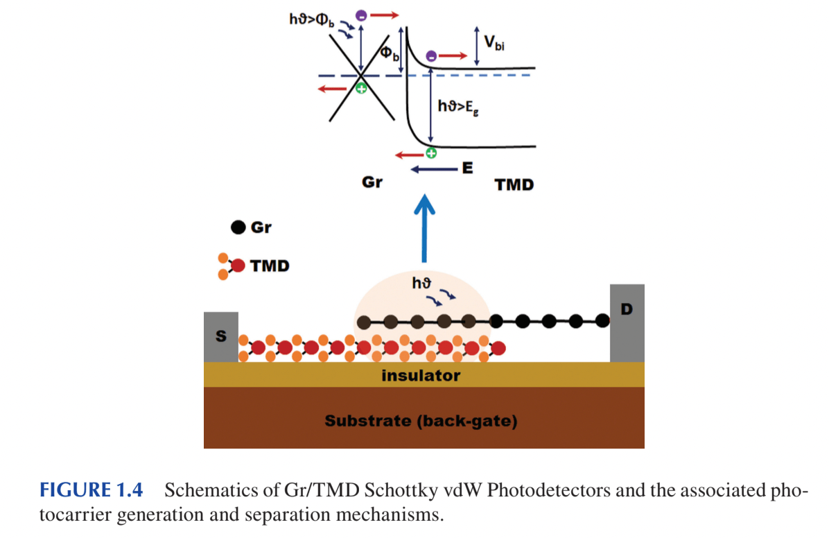 Vdw based photodetectors