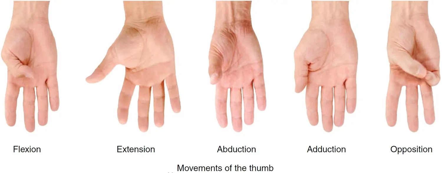 De Quervain’s Syndrome (Tenosynovitis) Causes and Treatment