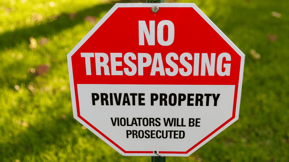 Can I Cut Tree Limbs That Hang Over My Property? Strobert Tree Services