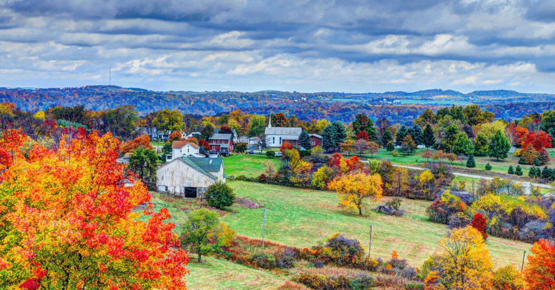 Tree Service in Devon, PA Strobert Tree Services