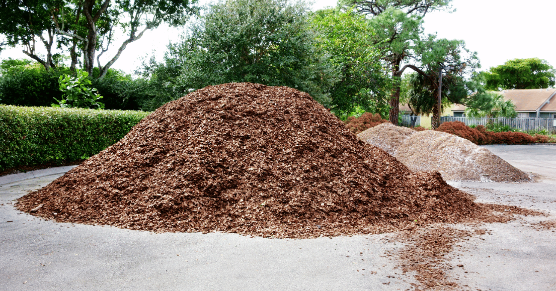 Cedar vs Cypress Mulch Strobert Tree Services