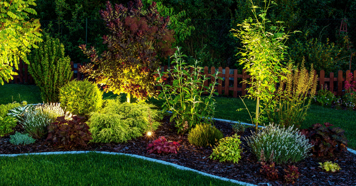 Can You Water Plants at Night? Strobert Tree Services