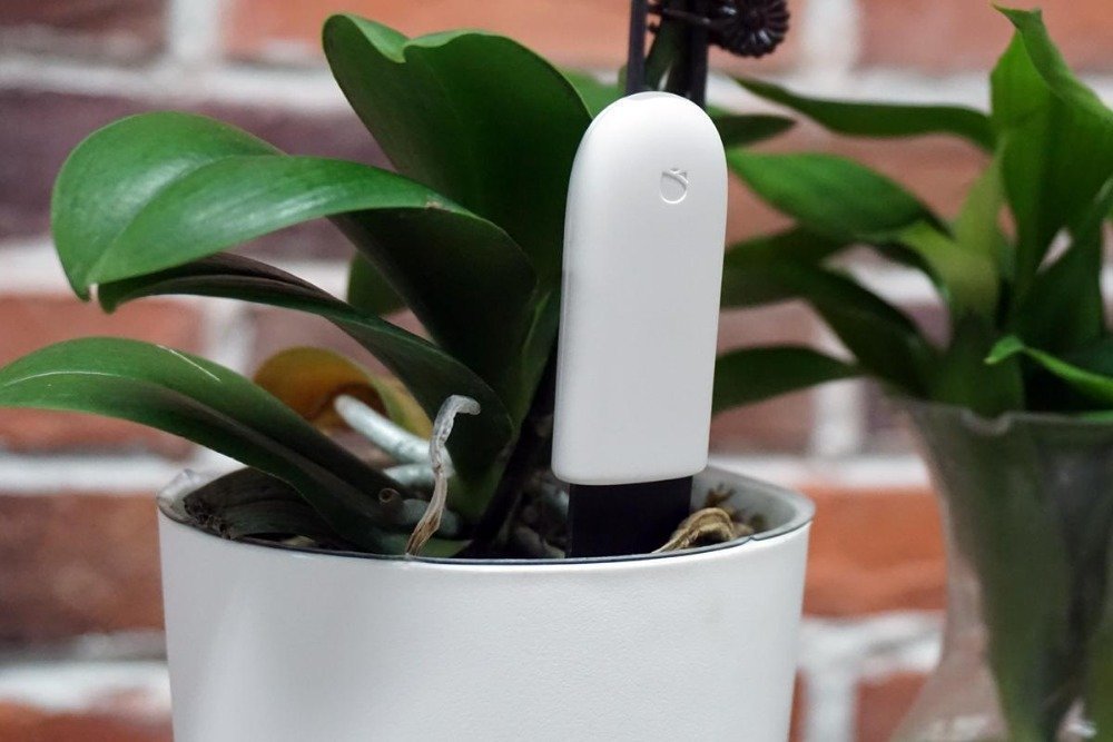 Xiaomi Smart Flower Monitor обзор датчика влажности почвы
