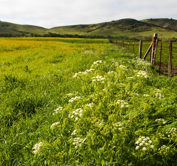 About Stromer Realty • Stromer Realty