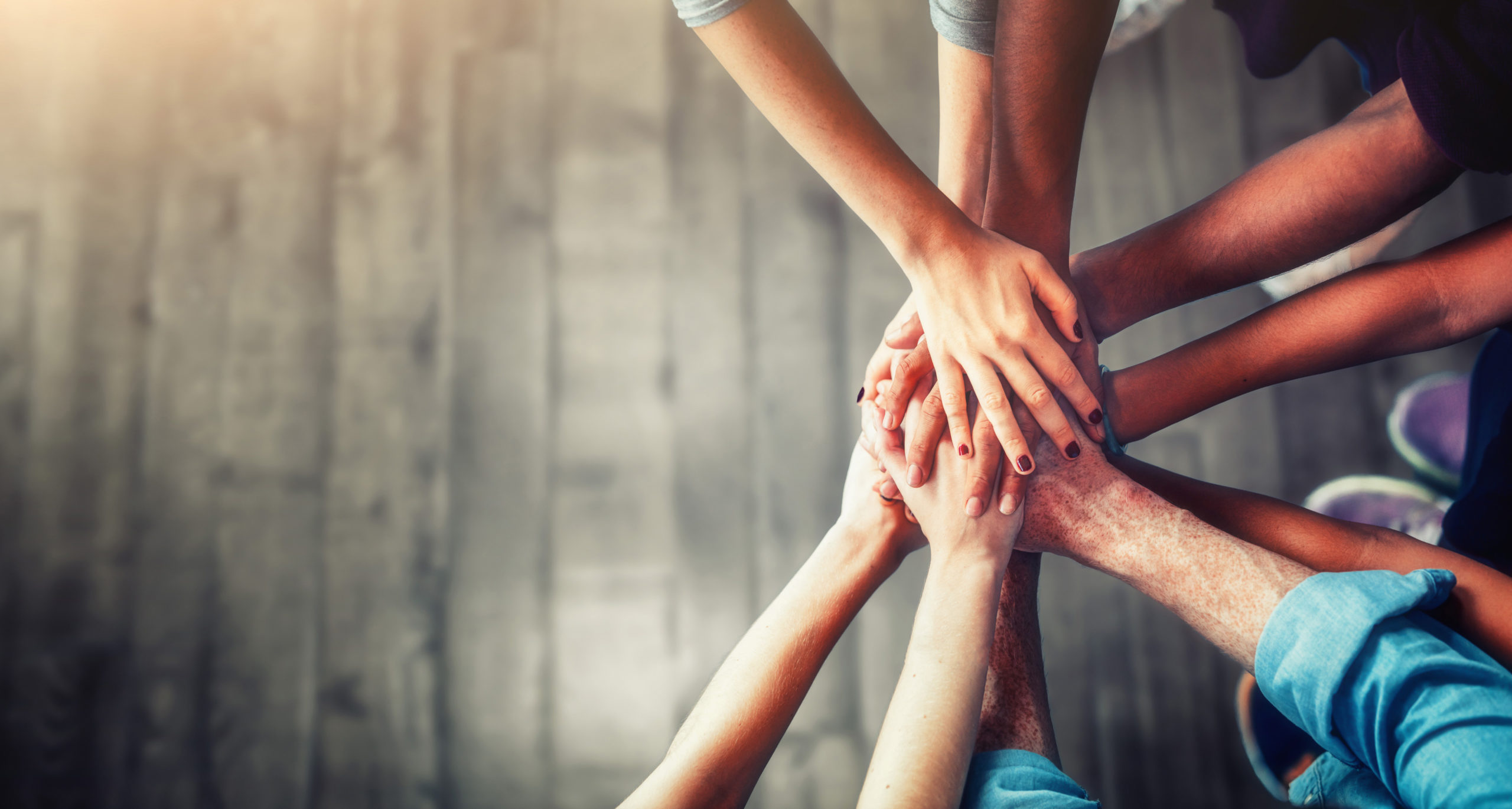 Resources for Families Stronghold Freedom Foundation