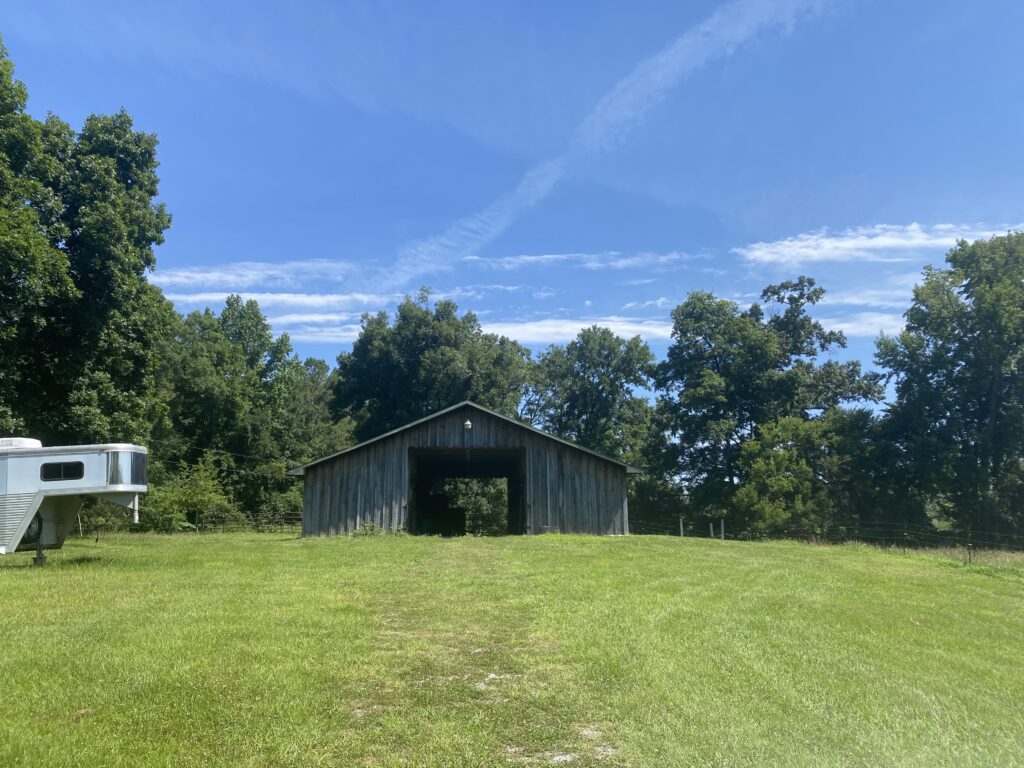 Yellowleaf Creek Preserve Strong Lands