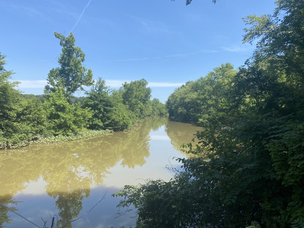 Yellowleaf Creek Preserve Strong Lands