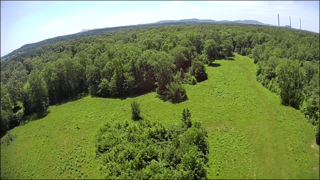 Yellowleaf Creek Preserve Strong Lands