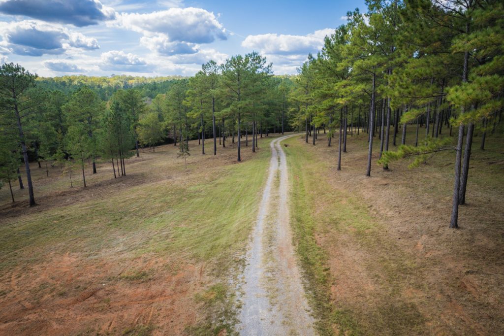 Covey Creek Strong Lands