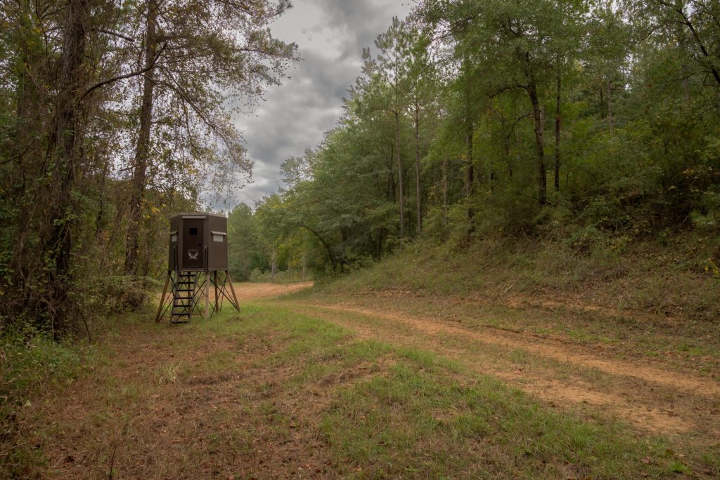 Covey Creek Strong Lands