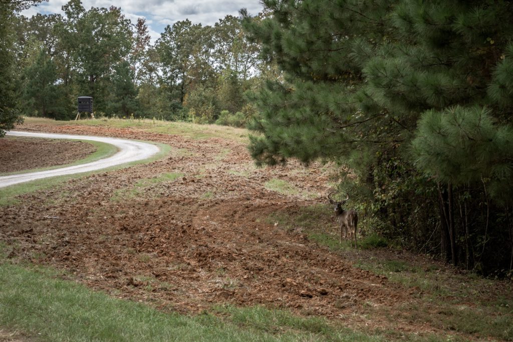 Covey Creek Strong Lands