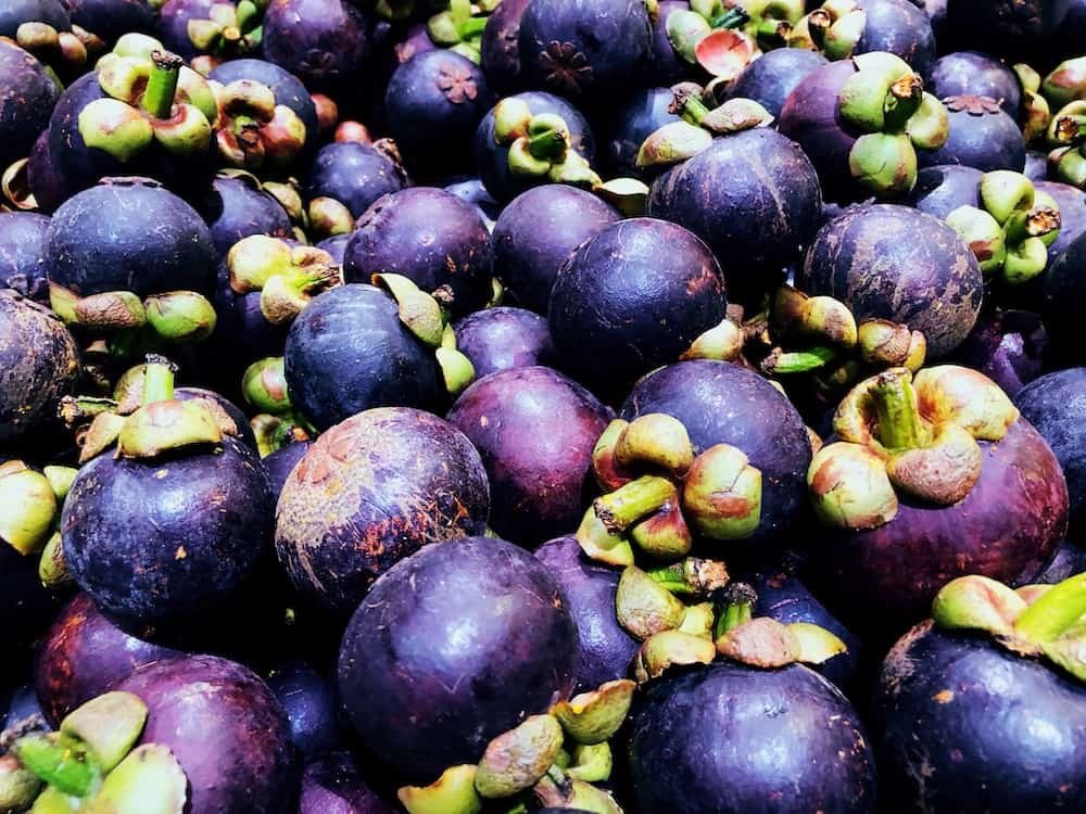Mangosteen Exotic Fruits You Must Try Strong With Plants Vegan