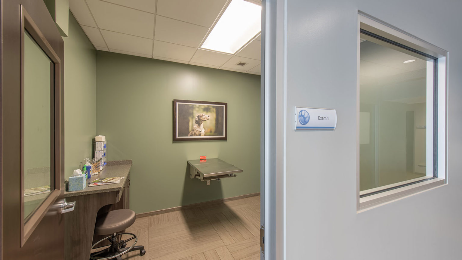 Blue Pearl Pet Hospital Structor Group