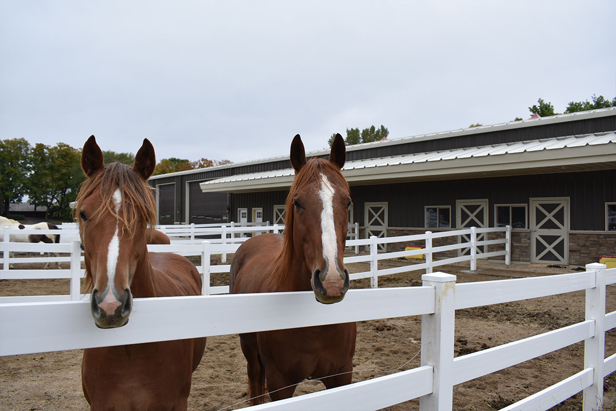 Equestrian Buildings Structural Buildings Minnesota & Wisconsin