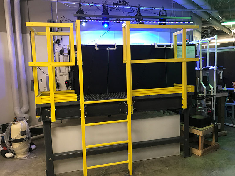 Fiberglass Handrail Systems Safety Handrails Structural Fiberglass