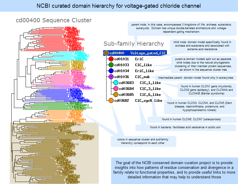NCBI Conserved Domain Database (CDD) Help