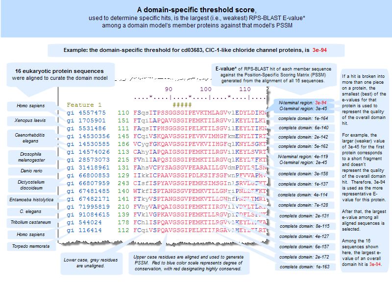 NCBI Conserved Domain Database (CDD) Help