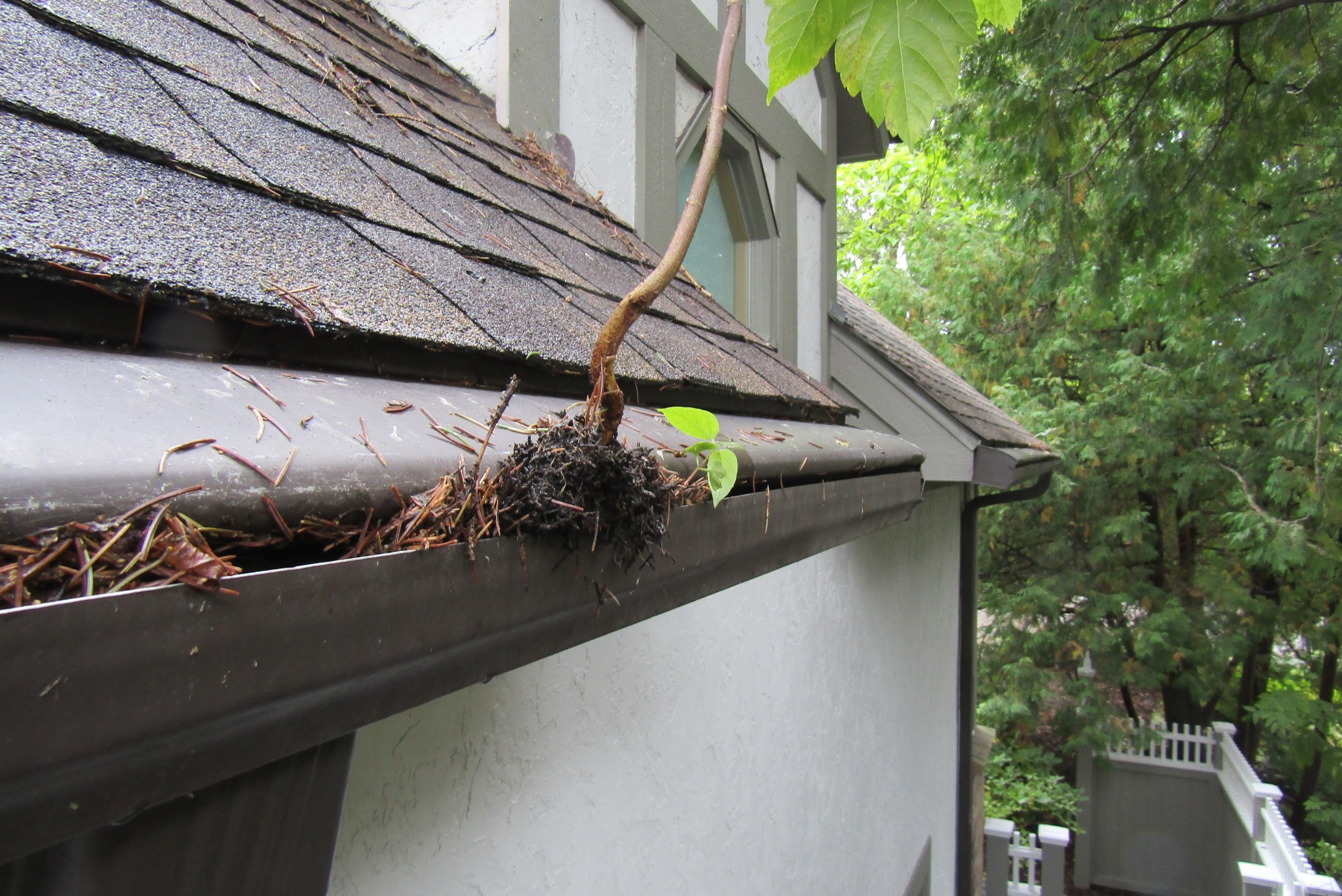 Are gutter guards worth it? Structure Tech Home Inspections