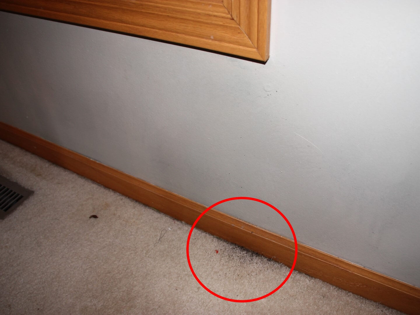 Moisture Testing Homes with Vinyl Siding