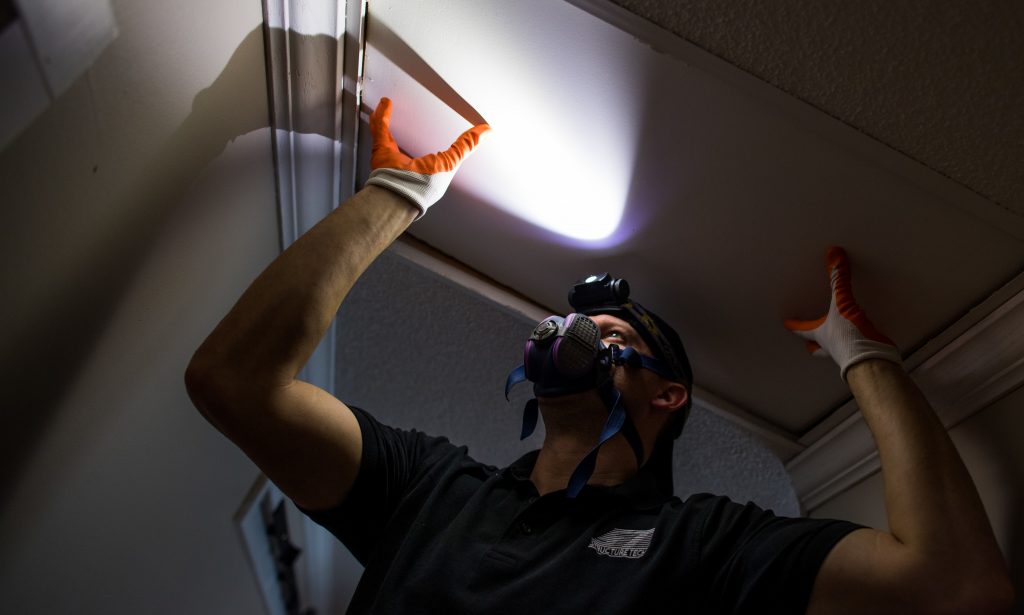 RoyaltyFree Home Inspector Images Structure Tech Home Inspections