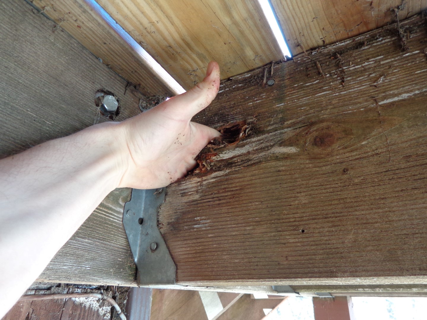 Deck Support Beams Rotting The Best Picture Of Beam