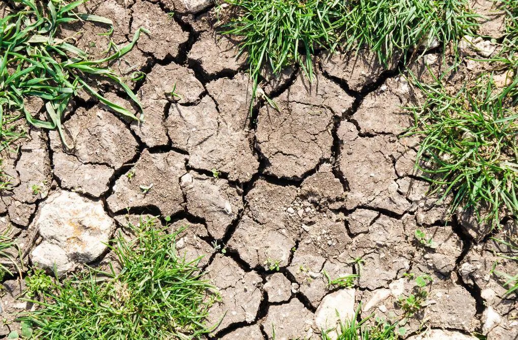 Effects of Soil Structure, Water Content, and Density on the Expansion