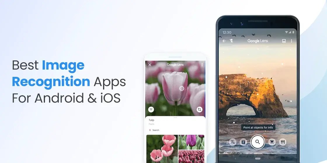 8 Best Image Recognition Apps You Could Use
