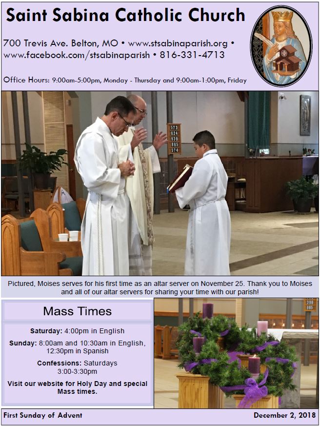 Bulletin Test Page St. Sabina Parish