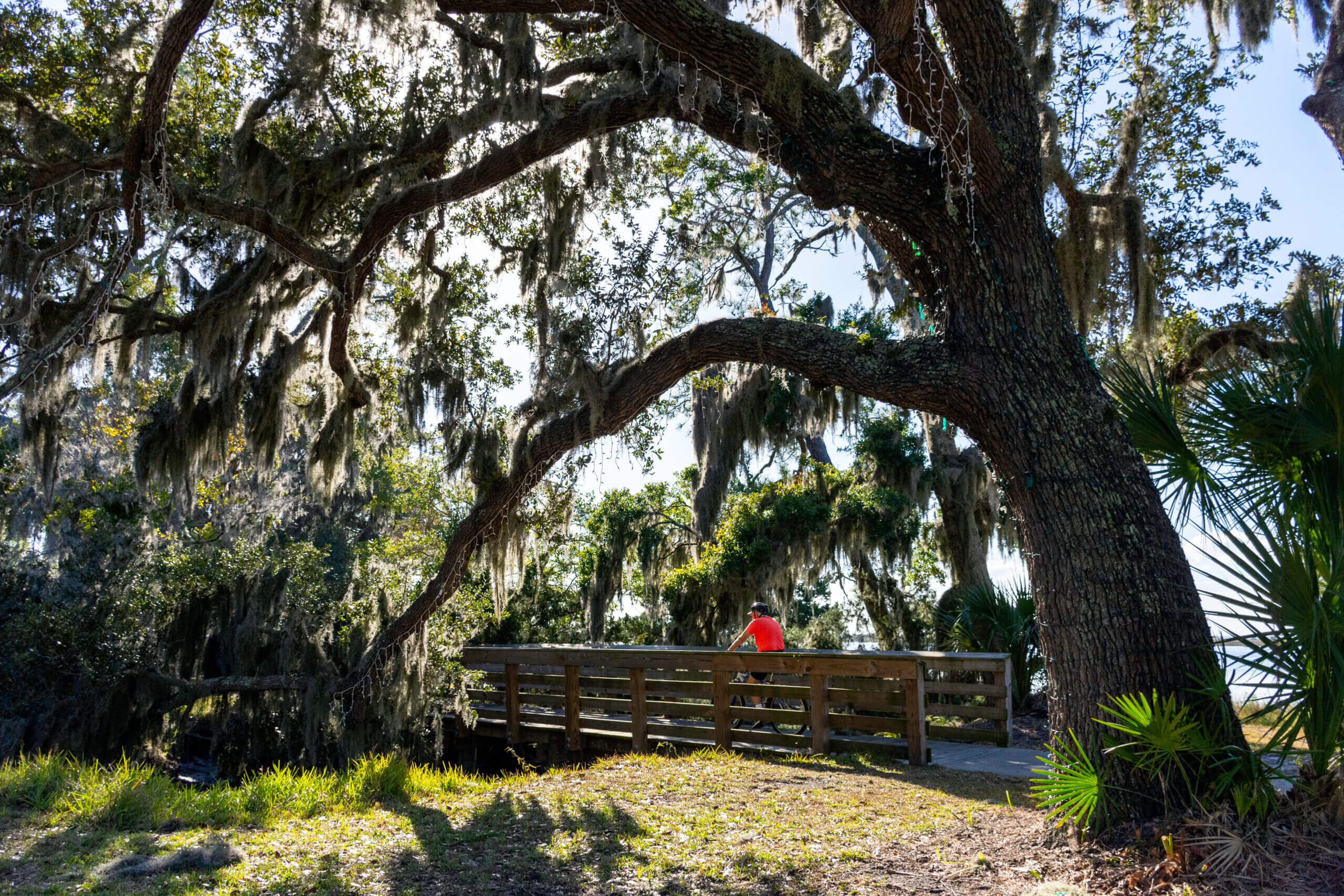Top Reasons to Visit Jekyll Island St. SiMoms