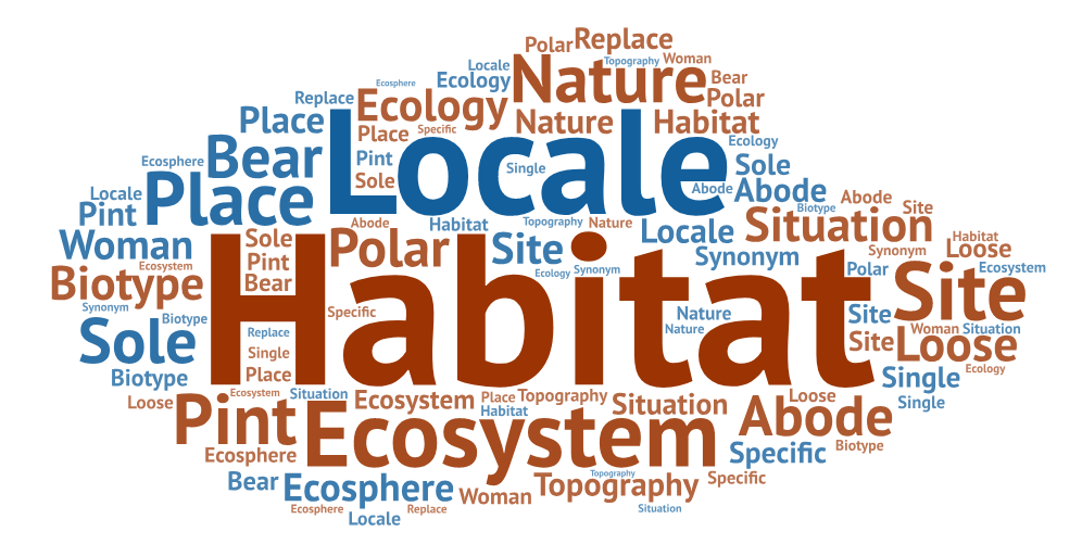 Topography Synonyms / Altimetry, altimeter, bathymetry, biometrics