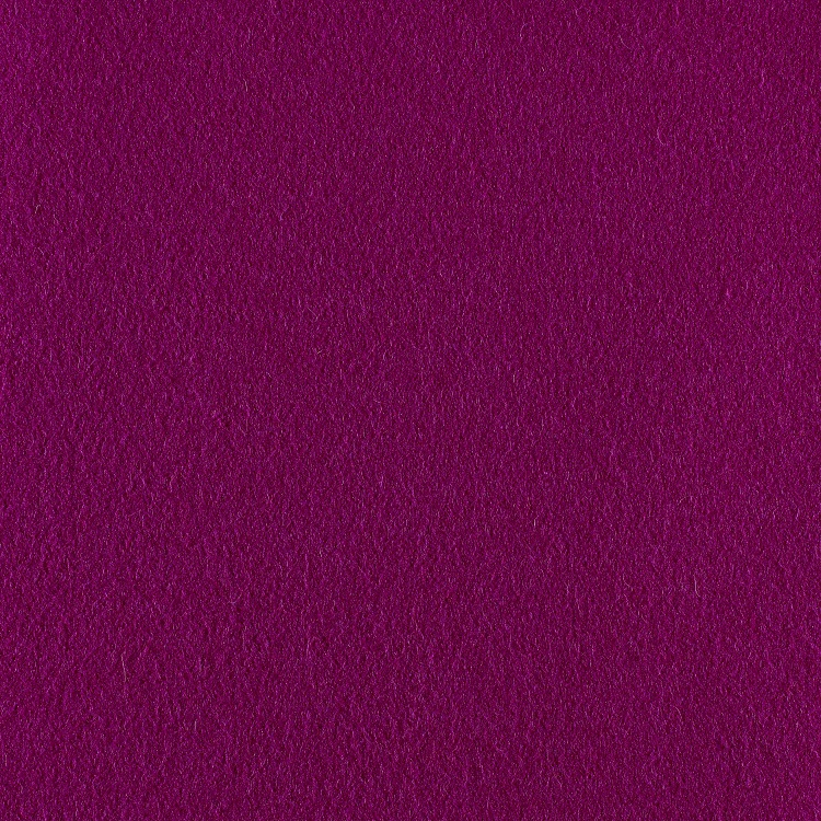 Portobello Stuart Scott