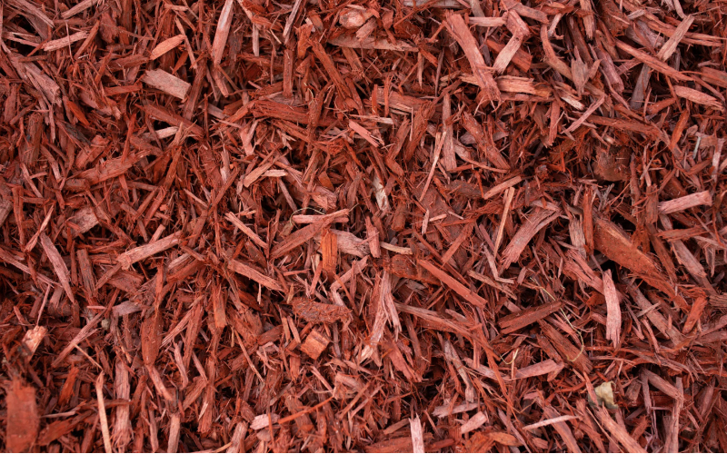 Mulch & Dirt Types » Stuart Sod