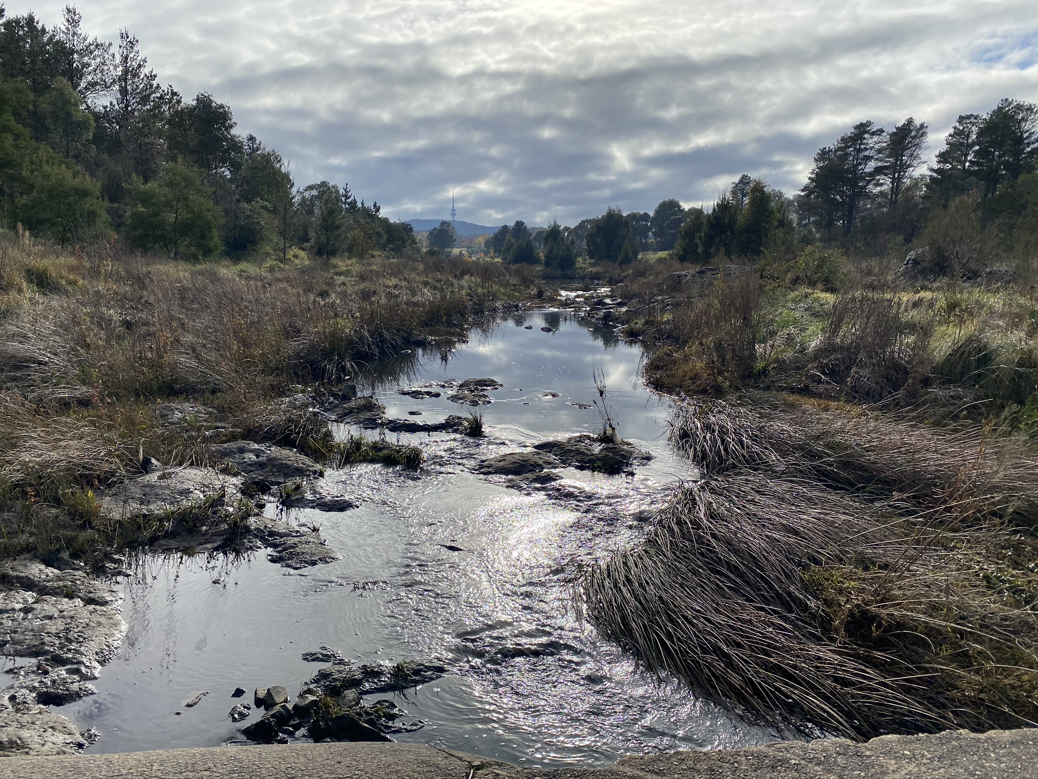 Molonglo River Reserve CyclingGravel