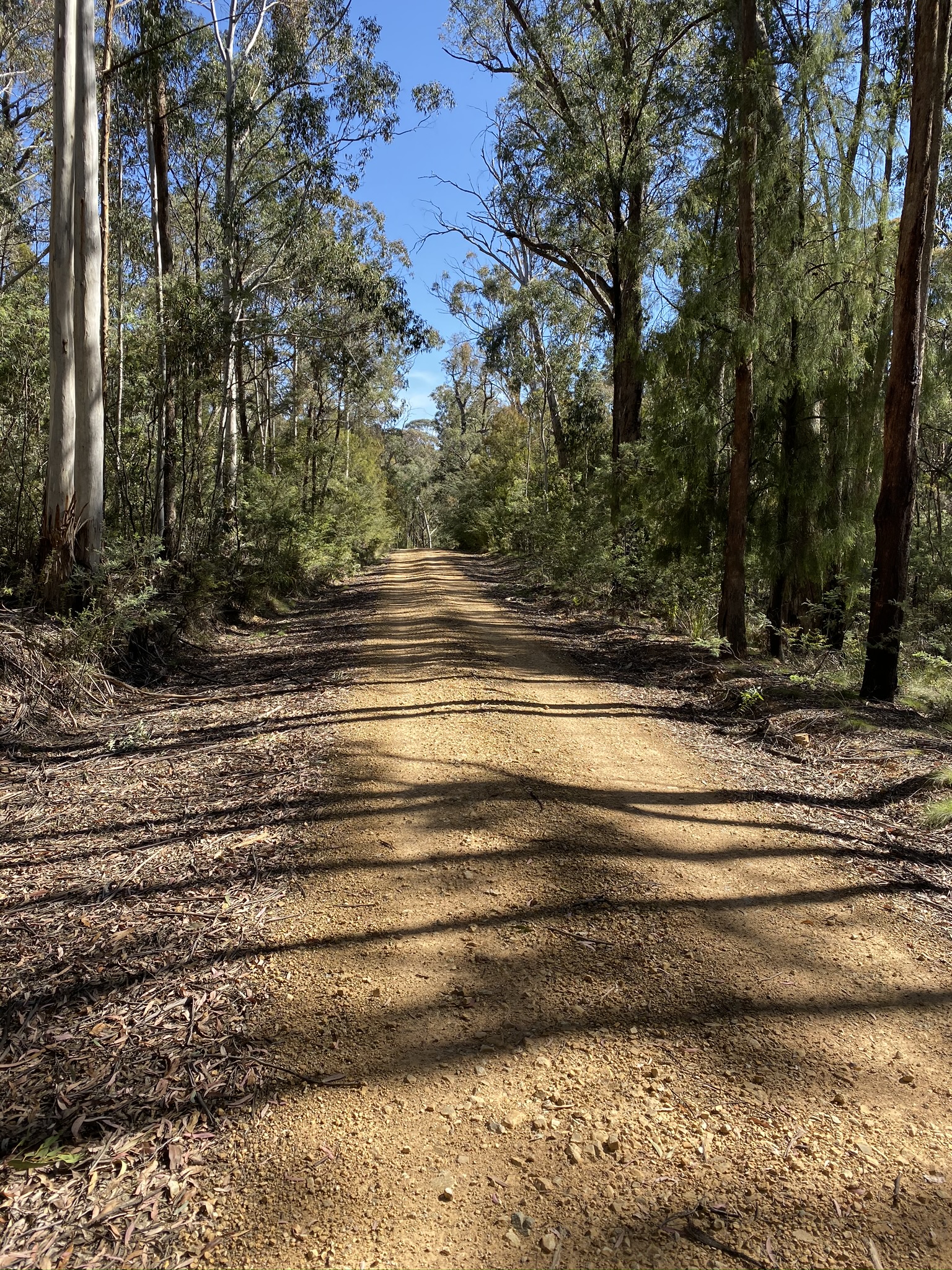 Piccadilly Circus & Pipeline Road loop CyclingGravel