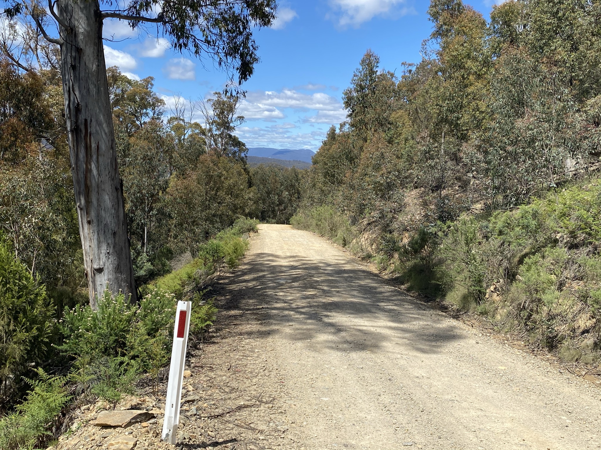 Canberra to Tumut via Brindabella CyclingGravel