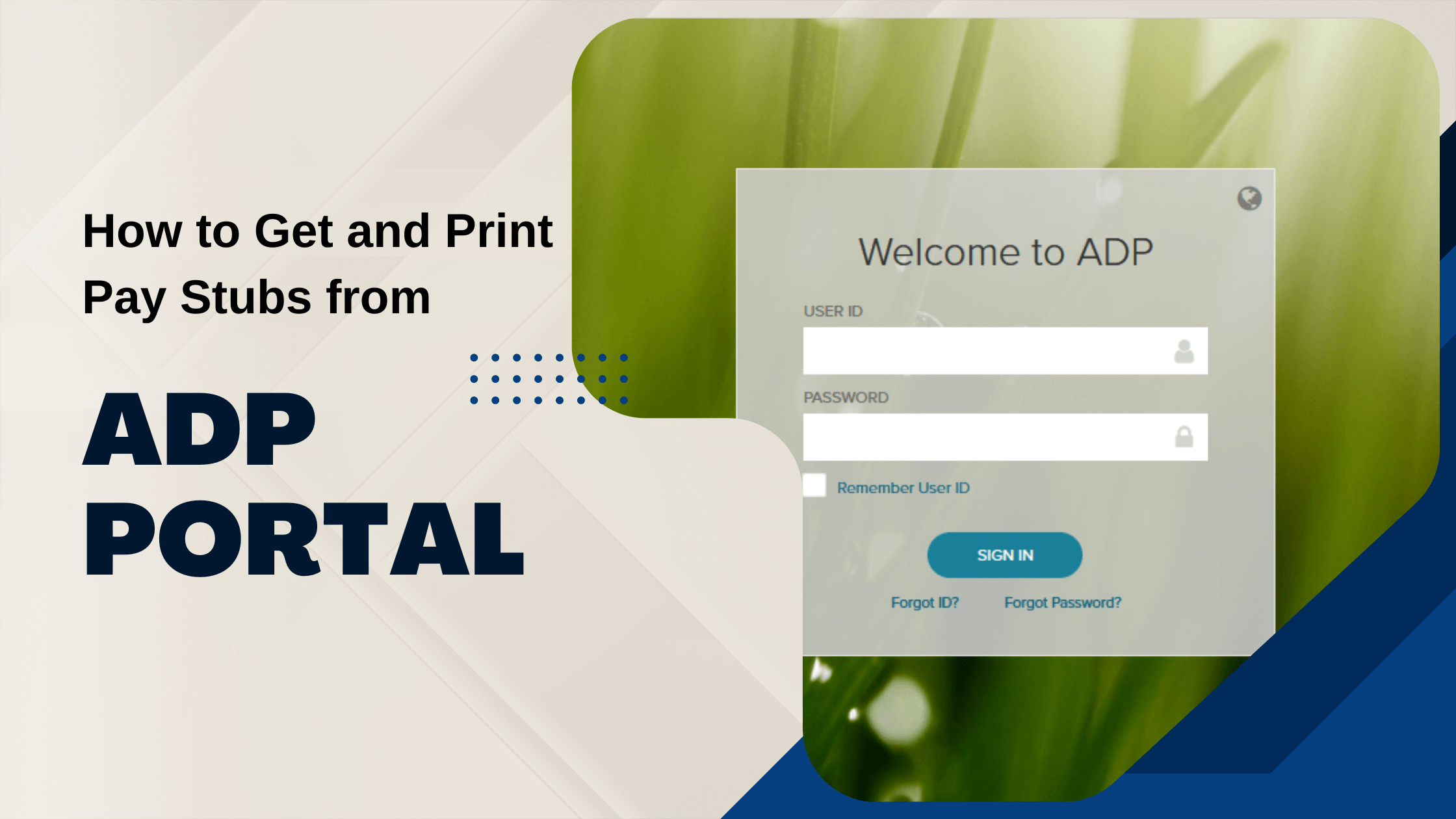 How to Acquire Your ADP Pay Stub?(08)