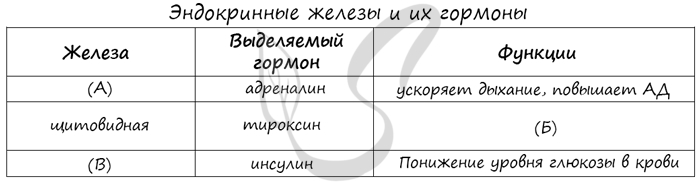 Тест по теме Эндокринная система ЕГЭ биология