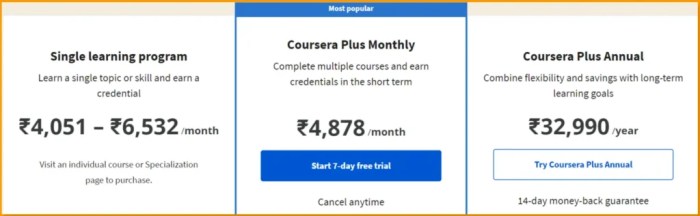 Coursera Plus Review: Is it Worth it? - essentialGuru.org Coursera Plus Review: Is it Worth it? - essentialGuru.org