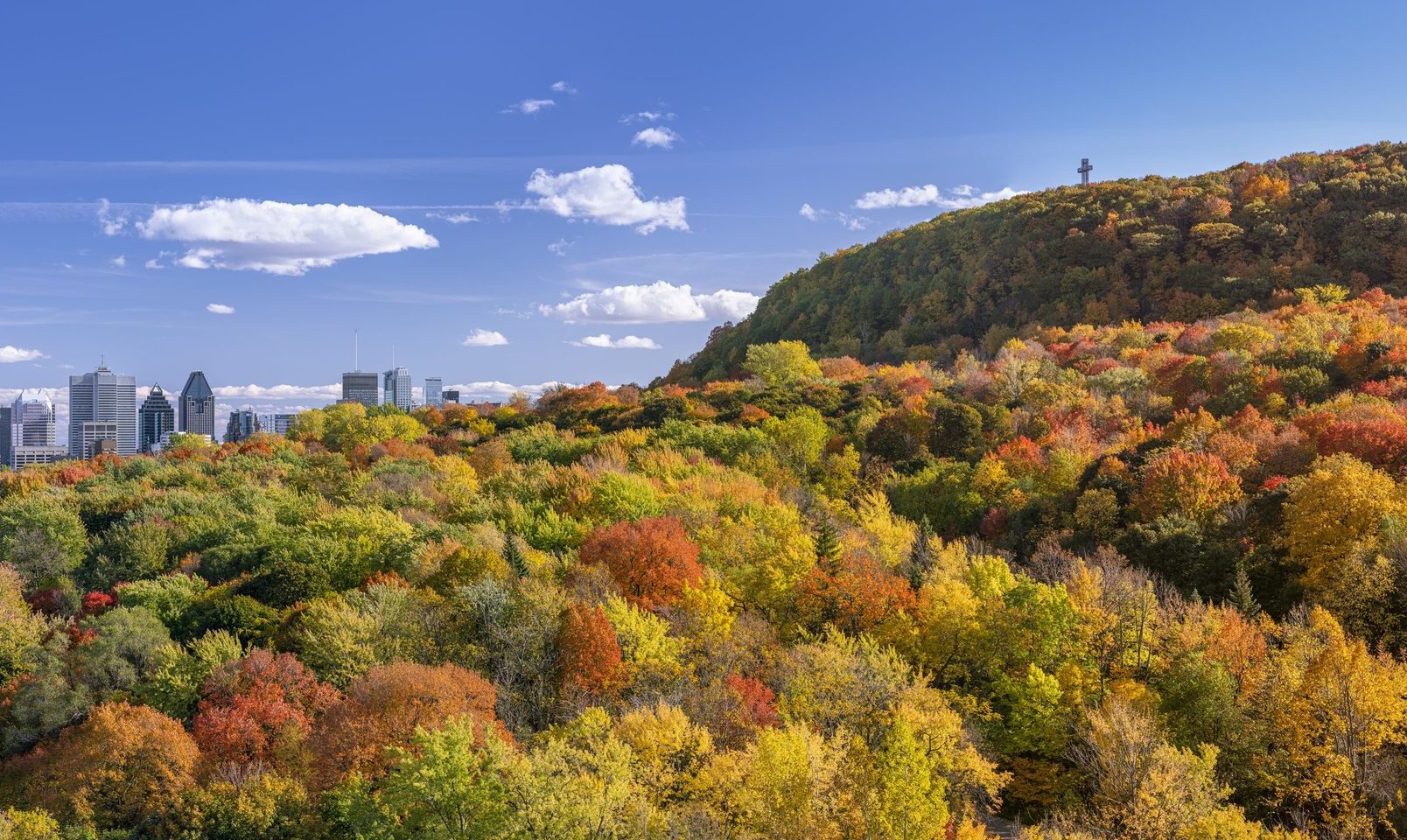 Mt Royal Hike ILSC Greystone Student Resources