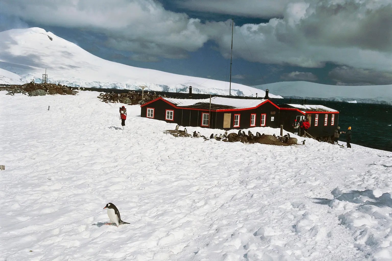 Wanna Work in Antarctica? Your Dream Job is Now Hiring…