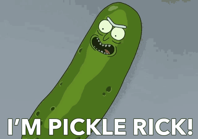 How to Watch "Rick and Morty" Season 5 in Australia · Student Edge News