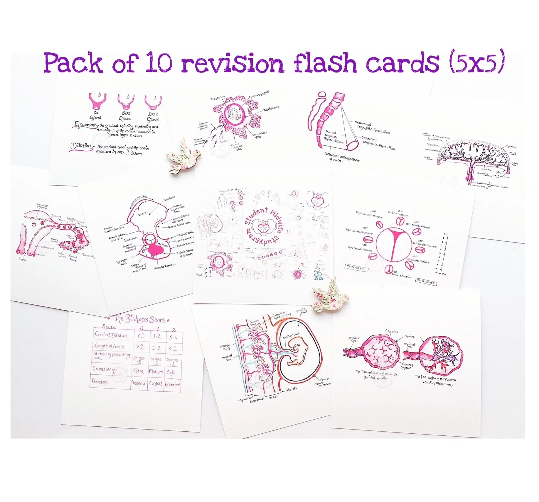 Midwifery Revision Flashcards Starter Set Student Midwife Studygram