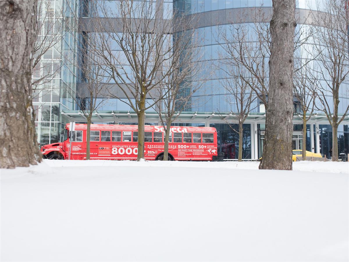 How to avoid slips, trips and falls this winter MyNews Seneca Students