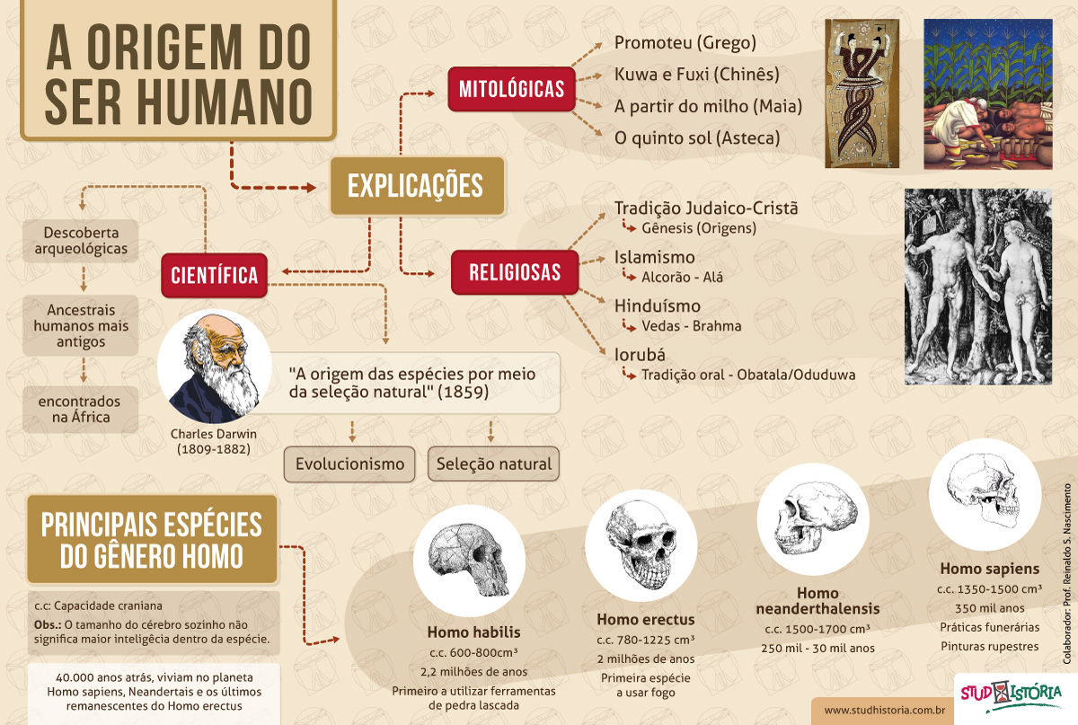 Arquivo Infográficos StudHistória