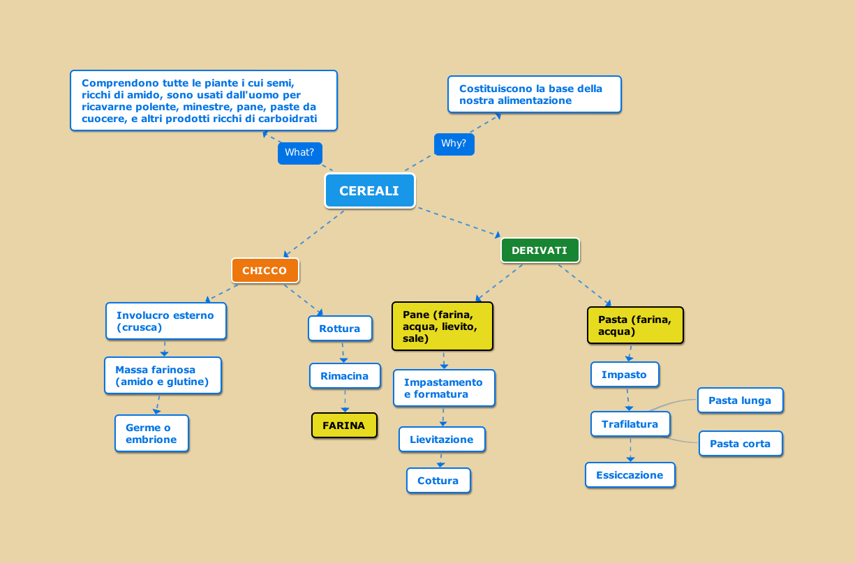 Industria Alimentare | Studia Bene 807_x_1225_png