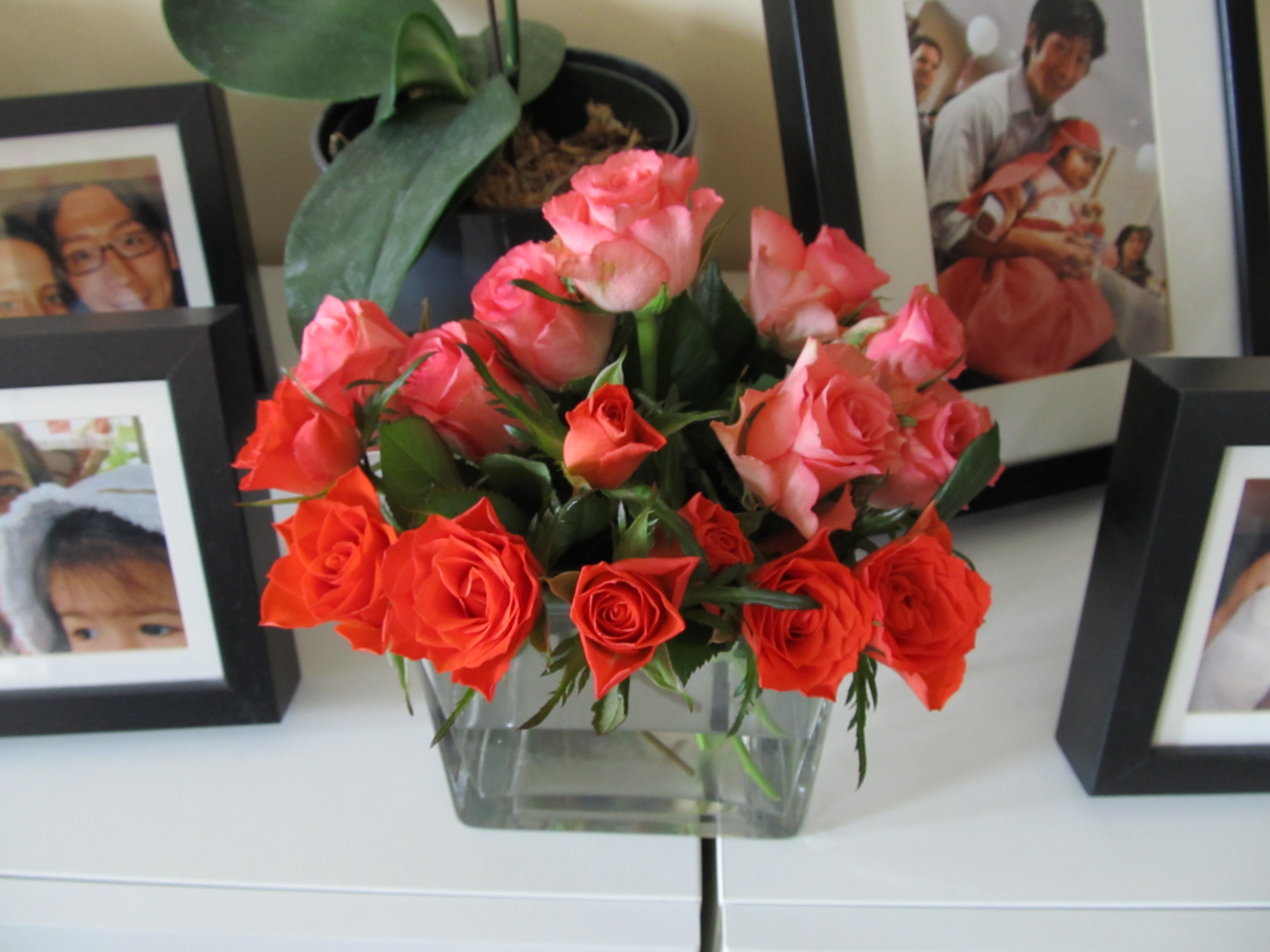 Buying Flowers Studies in Hope