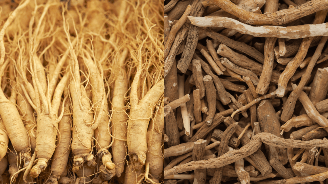 Ashwagandha vs ginseng? Which has the most benefits?